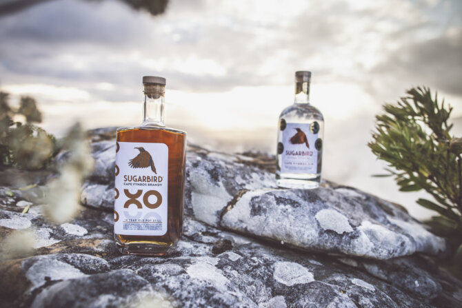 CAPE TOWN’S SUGARBIRD CRAFT GIN, SPREADS ITS WINGS TO BRANDY